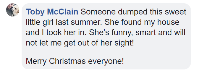 Dog Doesn’t Realize He Is Being Abandoned, Desperately Tries To Get Back In Car