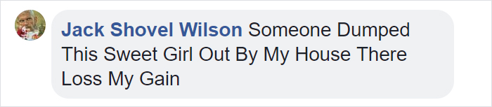 Dog Doesn’t Realize He Is Being Abandoned, Desperately Tries To Get Back In Car Dog Doesn’t Realize He Is Being Abandoned, Desperately Tries To Get Back In Car