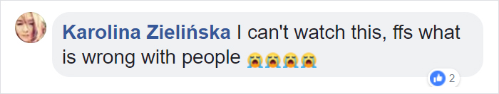 Dog Doesn’t Realize He Is Being Abandoned, Desperately Tries To Get Back In Car