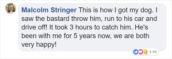 Dog Doesn’t Realize He Is Being Abandoned, Desperately Tries To Get Back In Car