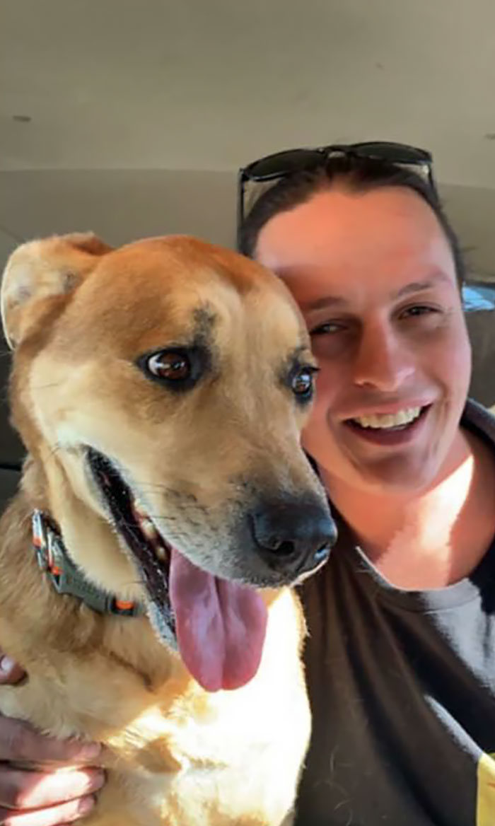 One Family Decides They Can't Take Care Of Their Dog, Drops Him Off At Shelter With Toys And Bed One Family Decides They Can't Take Care Of Their Dog, Drops Him Off At Shelter With Toys And Bed