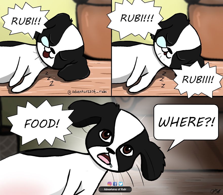 12 Comics That Every Dog Owners Will Understand