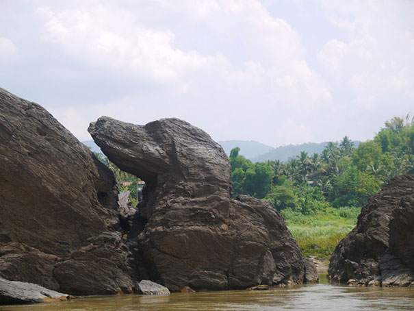 This Rock Resembles A Dog