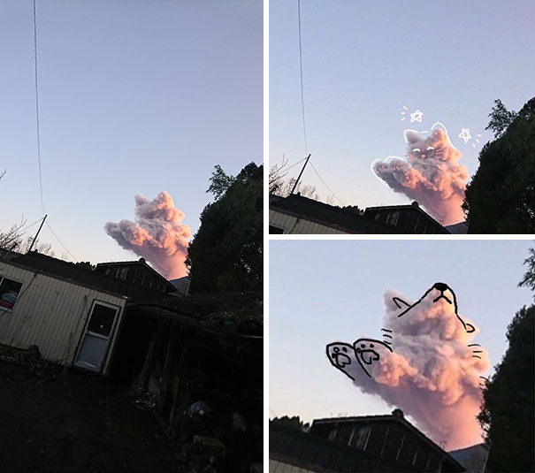 Cat Or Dog Jumping Over A House? Which One Do You See?