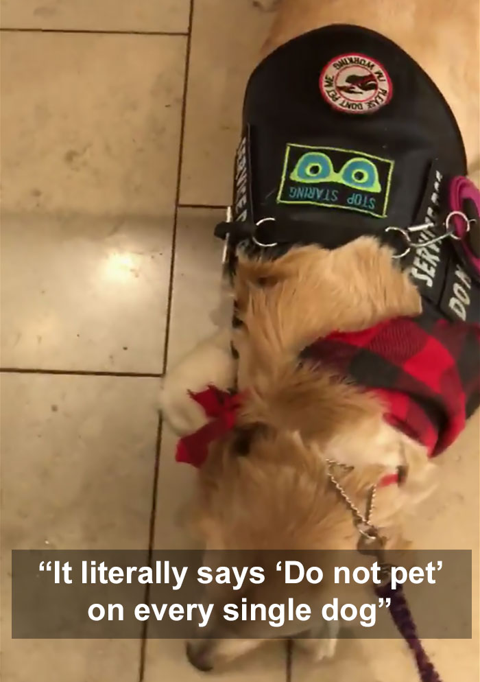'Entitled' Mom Asks If Her Child Can Pet Service Dogs, Can't Take "No" For An Answer
