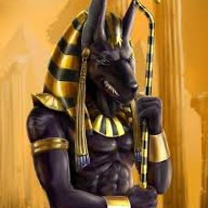 shadoe-valkyrie avatar