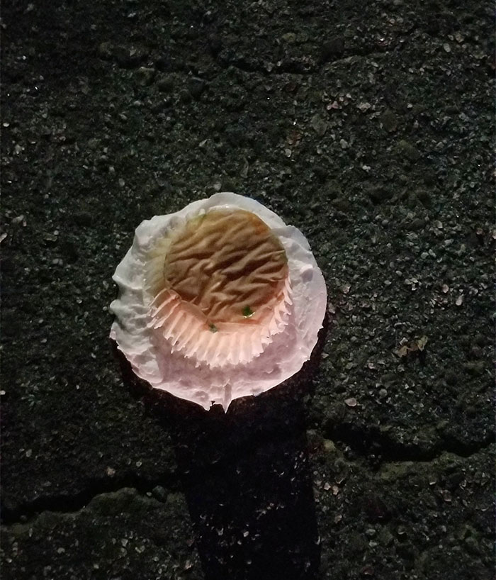 Co-Worker Tells Others To Ignore This Woman's Birthday, So She Gets Revenge By Buying Cupcakes