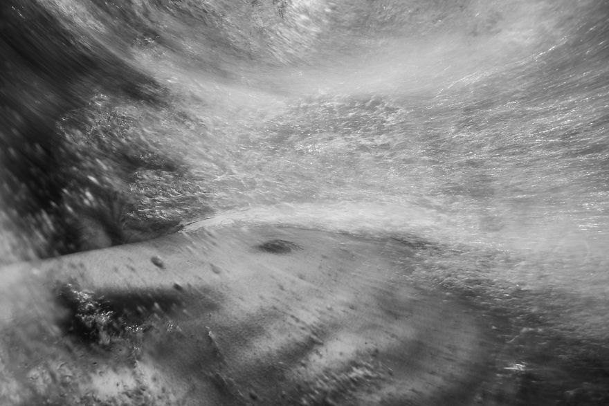 Bodysurfers Photography