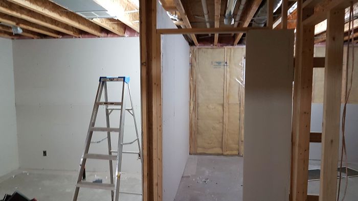 "I Adopted My Brother's Two Bengals When He Passed Away. I Did My Best To Build Them A Cat Jungle In My Basement And Make Him Proud" "I Adopted My Brother's Two Bengals When He Passed Away. I Did My Best To Build Them A Cat Jungle In My Basement And Make Him Proud"