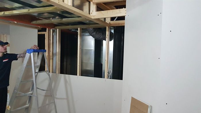 "I Adopted My Brother's Two Bengals When He Passed Away. I Did My Best To Build Them A Cat Jungle In My Basement And Make Him Proud" "I Adopted My Brother's Two Bengals When He Passed Away. I Did My Best To Build Them A Cat Jungle In My Basement And Make Him Proud"