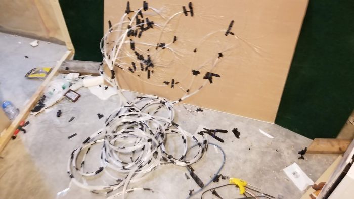 "I Adopted My Brother's Two Bengals When He Passed Away. I Did My Best To Build Them A Cat Jungle In My Basement And Make Him Proud" "I Adopted My Brother's Two Bengals When He Passed Away. I Did My Best To Build Them A Cat Jungle In My Basement And Make Him Proud"