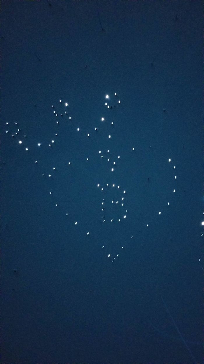 "I Adopted My Brother's Two Bengals When He Passed Away. I Did My Best To Build Them A Cat Jungle In My Basement And Make Him Proud" "I Adopted My Brother's Two Bengals When He Passed Away. I Did My Best To Build Them A Cat Jungle In My Basement And Make Him Proud"