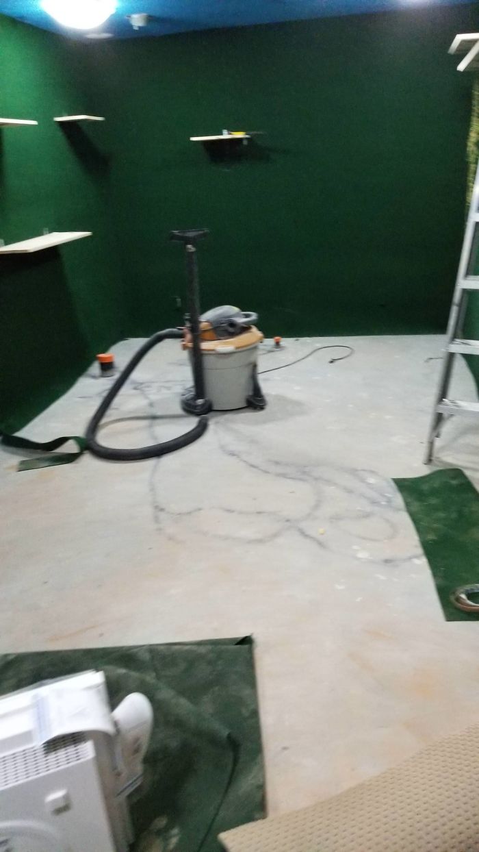 "I Adopted My Brother's Two Bengals When He Passed Away. I Did My Best To Build Them A Cat Jungle In My Basement And Make Him Proud" "I Adopted My Brother's Two Bengals When He Passed Away. I Did My Best To Build Them A Cat Jungle In My Basement And Make Him Proud"