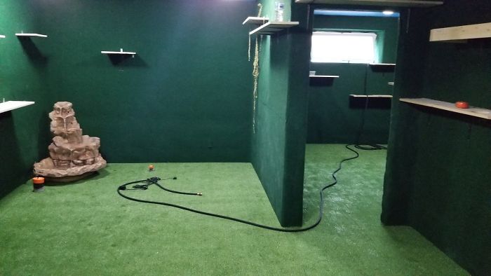 "I Adopted My Brother's Two Bengals When He Passed Away. I Did My Best To Build Them A Cat Jungle In My Basement And Make Him Proud" "I Adopted My Brother's Two Bengals When He Passed Away. I Did My Best To Build Them A Cat Jungle In My Basement And Make Him Proud"