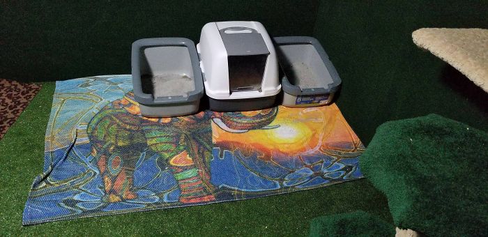 "I Adopted My Brother's Two Bengals When He Passed Away. I Did My Best To Build Them A Cat Jungle In My Basement And Make Him Proud" "I Adopted My Brother's Two Bengals When He Passed Away. I Did My Best To Build Them A Cat Jungle In My Basement And Make Him Proud"