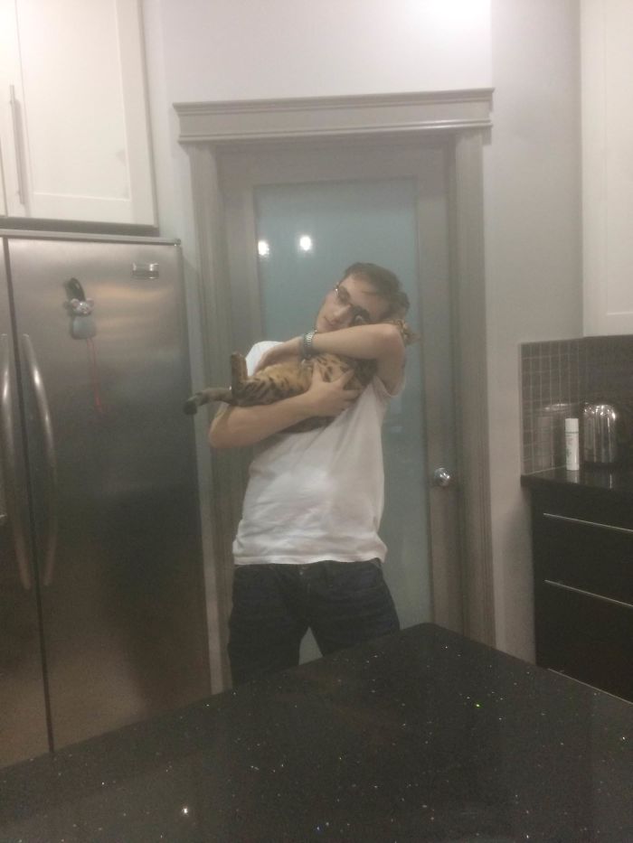 "I Adopted My Brother's Two Bengals When He Passed Away. I Did My Best To Build Them A Cat Jungle In My Basement And Make Him Proud" "I Adopted My Brother's Two Bengals When He Passed Away. I Did My Best To Build Them A Cat Jungle In My Basement And Make Him Proud"