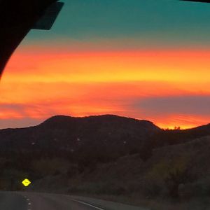 caleighnicolef07 avatar