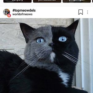 kelseyhulce08 avatar