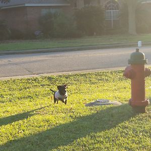 madisonfrazier avatar