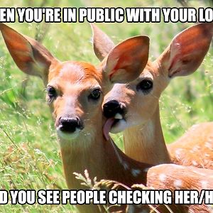 jessicavandenbiggelaar avatar