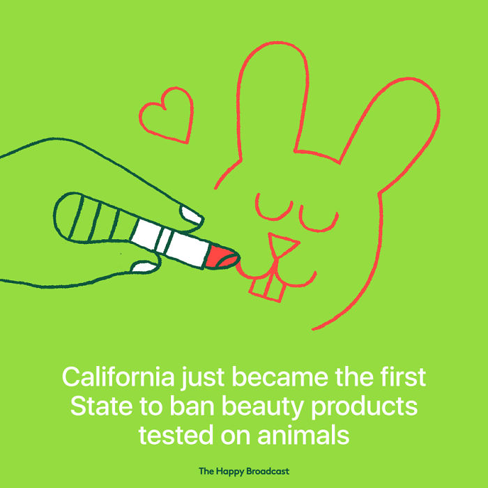 2019 Is Almost Here. It's Time To Enjoy All The (Illustrated) Good News Of 2018!