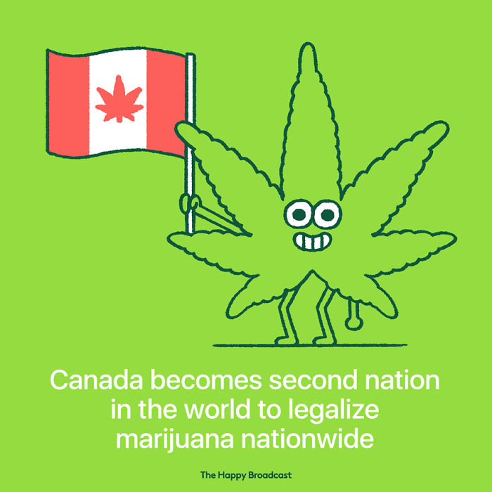 2019 Is Almost Here. It's Time To Enjoy All The (Illustrated) Good News Of 2018!