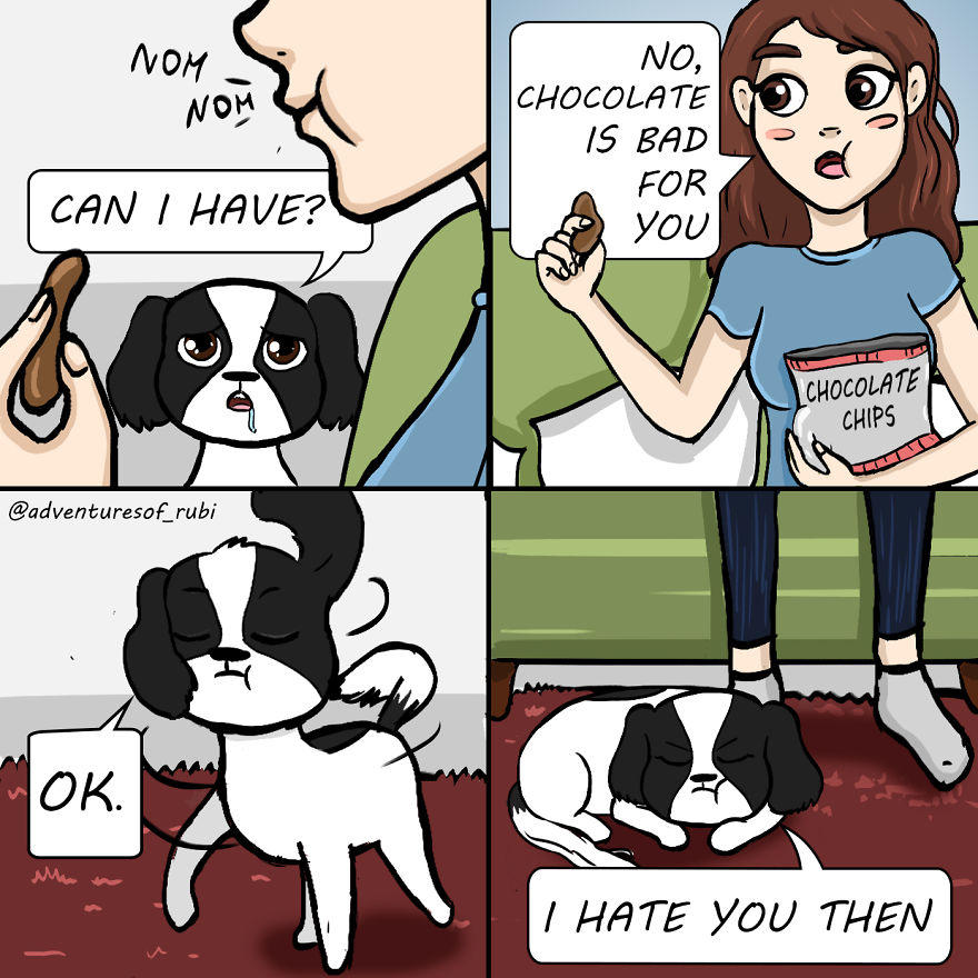 12 Comics That Every Dog Owners Will Understand