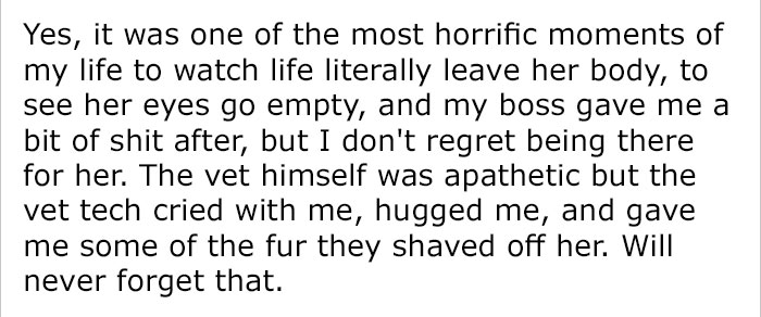 After This Man's Cat Was Put Down At The Vet, He Received A Heartwarming Gift Including Ashes, Fur And A Paw With Seeds After This Man's Cat Was Put Down At The Vet, He Received A Heartwarming Gift Including Ashes, Fur And A Paw With Seeds