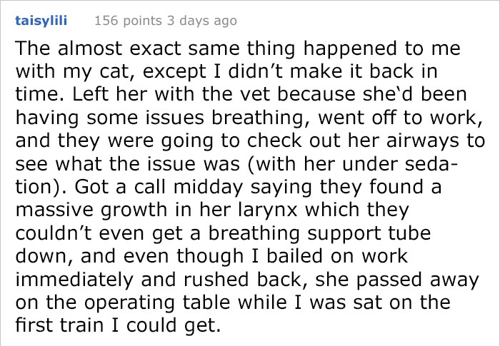 After This Man's Cat Was Put Down At The Vet, He Received A Heartwarming Gift Including Ashes, Fur And A Paw With Seeds