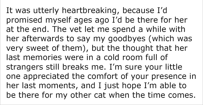 After This Man's Cat Was Put Down At The Vet, He Received A Heartwarming Gift Including Ashes, Fur And A Paw With Seeds