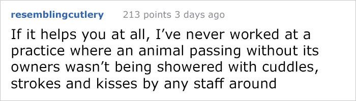 After This Man's Cat Was Put Down At The Vet, He Received A Heartwarming Gift Including Ashes, Fur And A Paw With Seeds