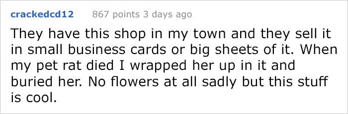 After This Man's Cat Was Put Down At The Vet, He Received A Heartwarming Gift Including Ashes, Fur And A Paw With Seeds After This Man's Cat Was Put Down At The Vet, He Received A Heartwarming Gift Including Ashes, Fur And A Paw With Seeds