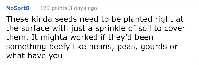 After This Man's Cat Was Put Down At The Vet, He Received A Heartwarming Gift Including Ashes, Fur And A Paw With Seeds After This Man's Cat Was Put Down At The Vet, He Received A Heartwarming Gift Including Ashes, Fur And A Paw With Seeds