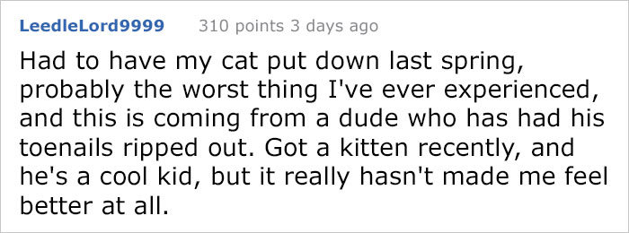 After This Man's Cat Was Put Down At The Vet, He Received A Heartwarming Gift Including Ashes, Fur And A Paw With Seeds