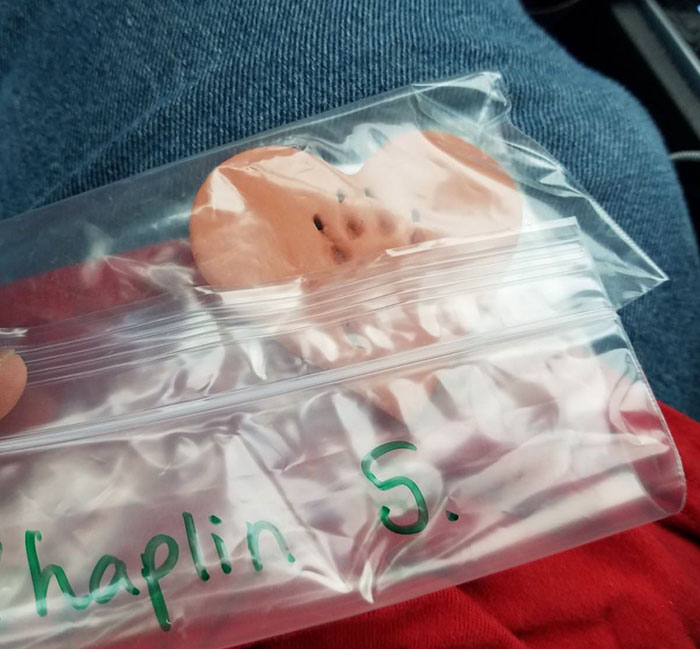 After This Man's Cat Was Put Down At The Vet, He Received A Heartwarming Gift Including Ashes, Fur And A Paw With Seeds