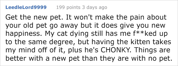 After This Man's Cat Was Put Down At The Vet, He Received A Heartwarming Gift Including Ashes, Fur And A Paw With Seeds