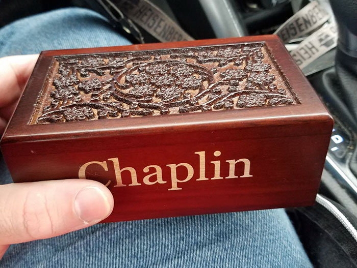 After This Man's Cat Was Put Down At The Vet, He Received A Heartwarming Gift Including Ashes, Fur And A Paw With Seeds After This Man's Cat Was Put Down At The Vet, He Received A Heartwarming Gift Including Ashes, Fur And A Paw With Seeds