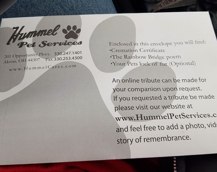 After This Man's Cat Was Put Down At The Vet, He Received A Heartwarming Gift Including Ashes, Fur And A Paw With Seeds