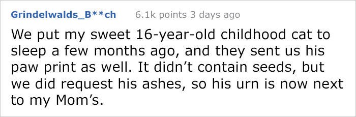 After This Man's Cat Was Put Down At The Vet, He Received A Heartwarming Gift Including Ashes, Fur And A Paw With Seeds