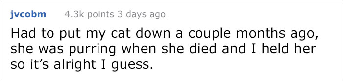 After This Man's Cat Was Put Down At The Vet, He Received A Heartwarming Gift Including Ashes, Fur And A Paw With Seeds