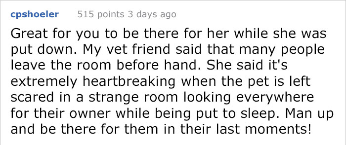 After This Man's Cat Was Put Down At The Vet, He Received A Heartwarming Gift Including Ashes, Fur And A Paw With Seeds