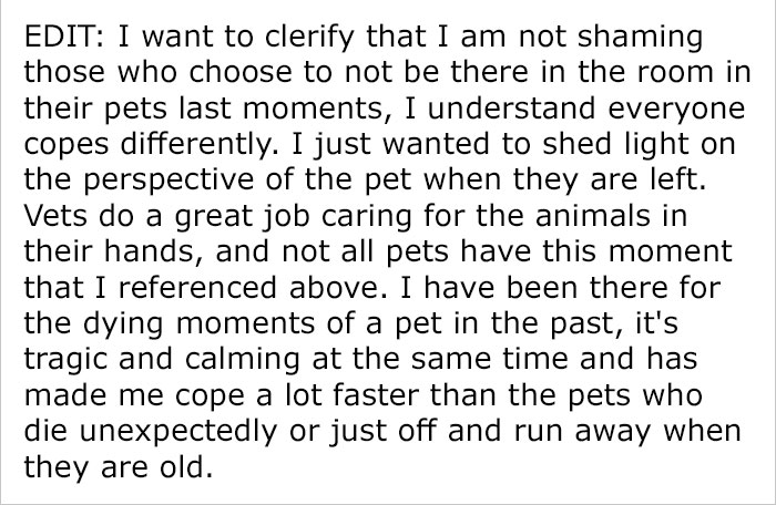 After This Man's Cat Was Put Down At The Vet, He Received A Heartwarming Gift Including Ashes, Fur And A Paw With Seeds