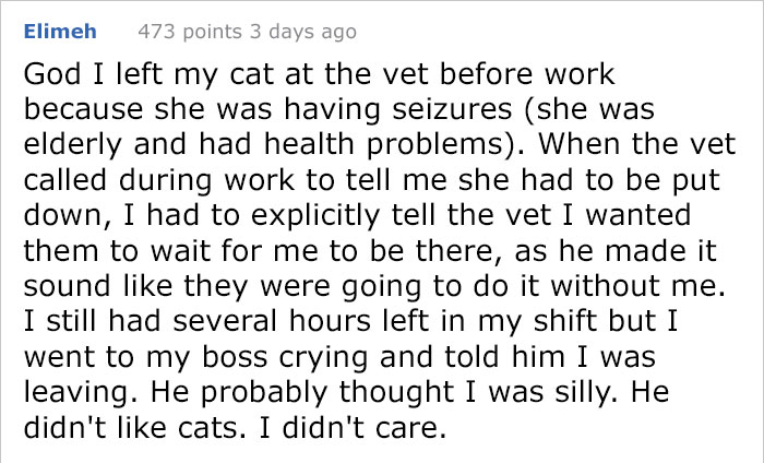 After This Man's Cat Was Put Down At The Vet, He Received A Heartwarming Gift Including Ashes, Fur And A Paw With Seeds After This Man's Cat Was Put Down At The Vet, He Received A Heartwarming Gift Including Ashes, Fur And A Paw With Seeds
