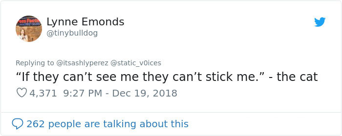 Someone Shares Pic Of Their Cat Hiding From The Vet, The Internet Responds With Their Own Hilarious Pics