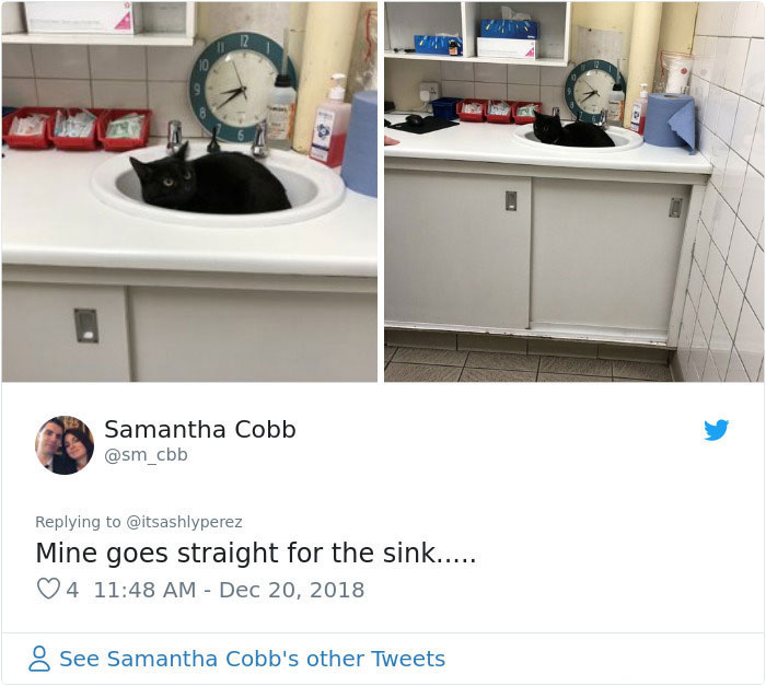 Someone Shares Pic Of Their Cat Hiding From The Vet, The Internet Responds With Their Own Hilarious Pics