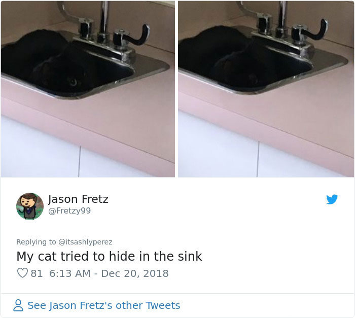 Someone Shares Pic Of Their Cat Hiding From The Vet, The Internet Responds With Their Own Hilarious Pics