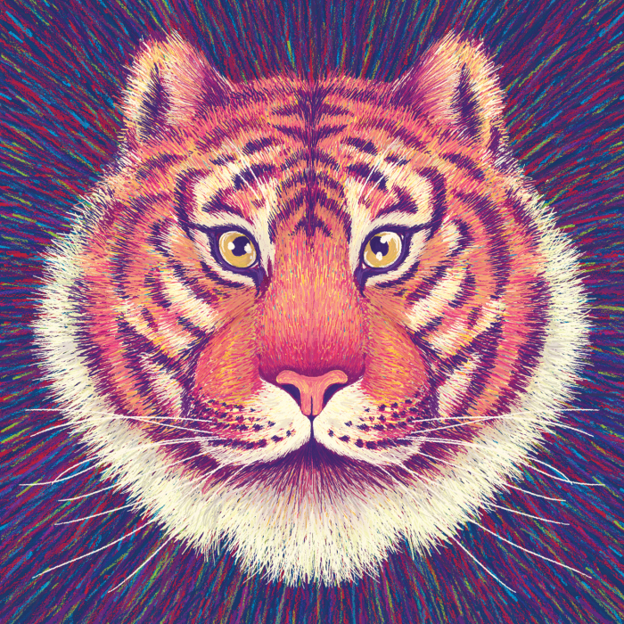 Calendar 2019 – Losing Wildlife