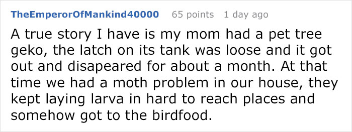 Man Accidentally Unleashes 250 Crickets In His House And People Are In Tears With Laughter