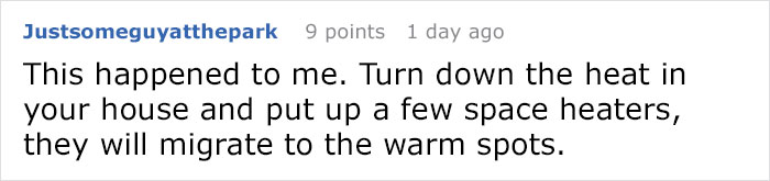 Man Accidentally Unleashes 250 Crickets In His House And People Are In Tears With Laughter Man Accidentally Unleashes 250 Crickets In His House And People Are In Tears With Laughter