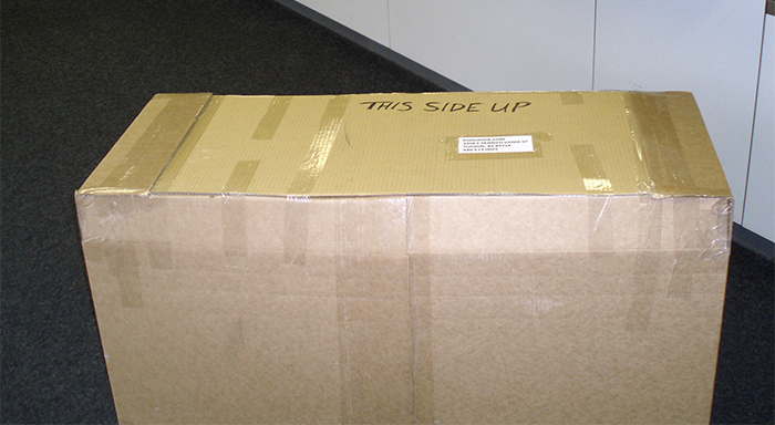 Este hombre liberó accidentalmente 250 grillos en su casa, y la gente llora de la risa